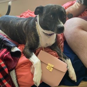 Meet your Posher, Selena